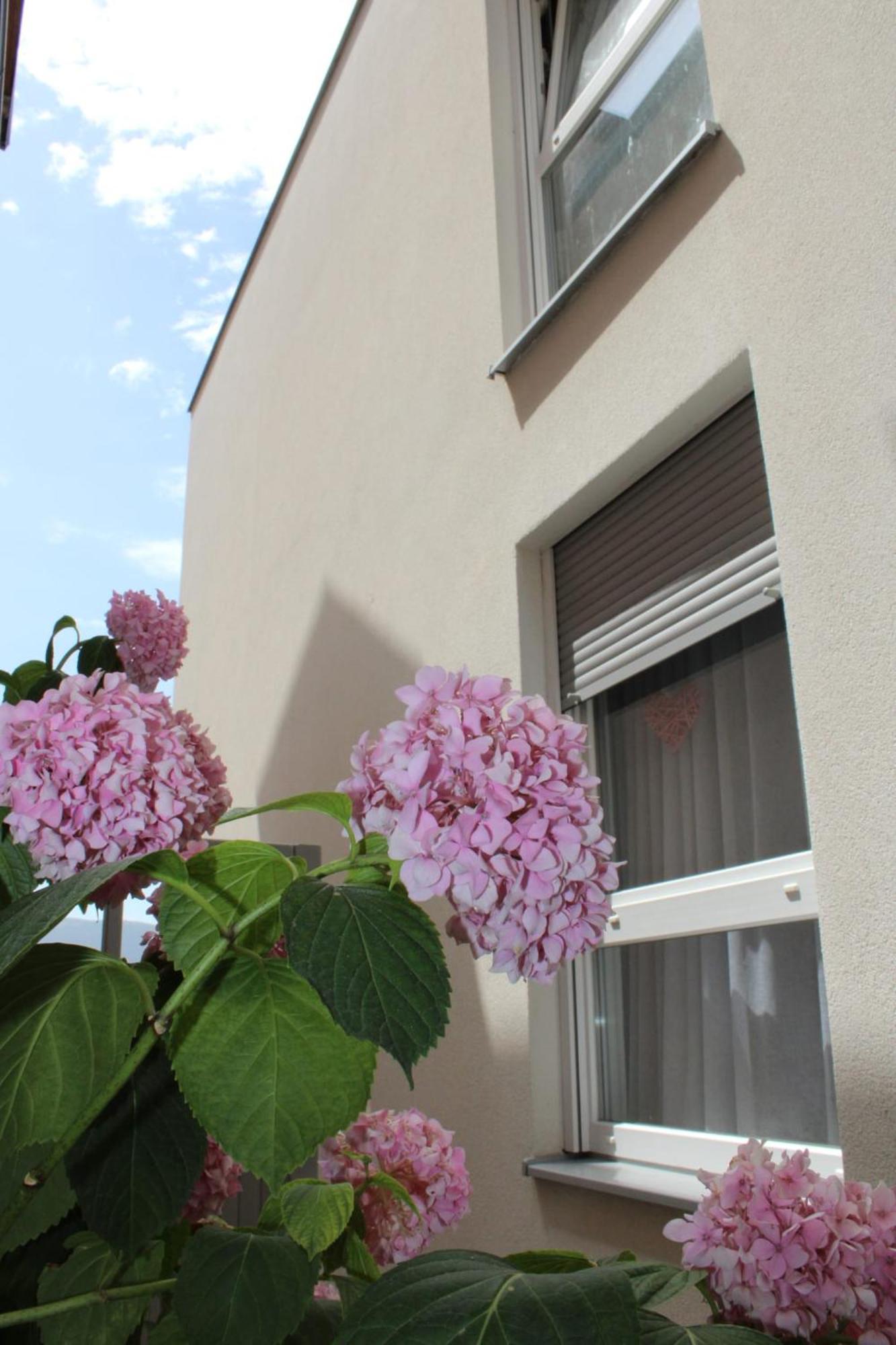 Apartment Merry - Free Garage & Parking Mostar Extérieur photo